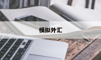 模拟外汇(模拟外汇买卖)